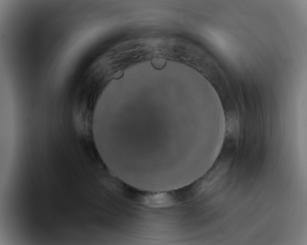 X0000094210431200711161832