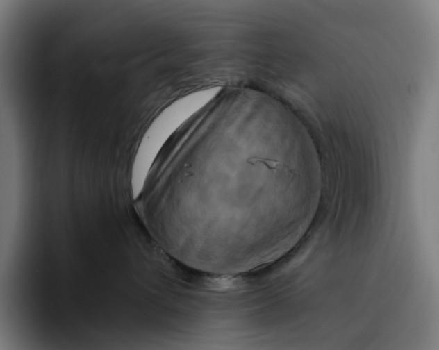 X0000094210432200711161832