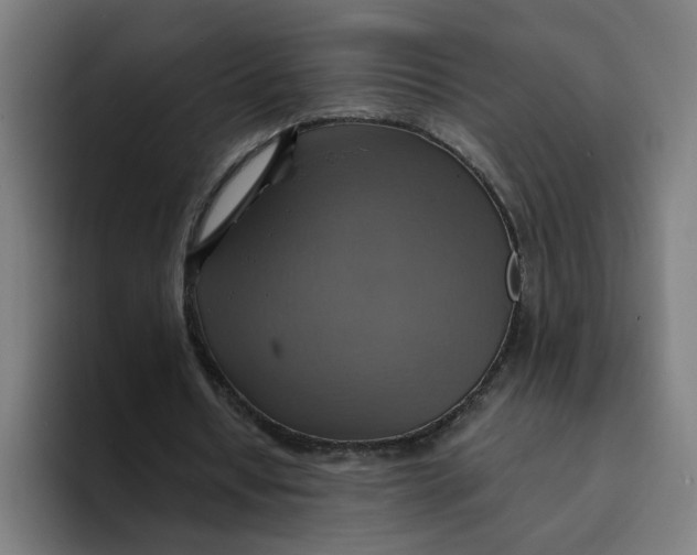 X0000094210434200711161832