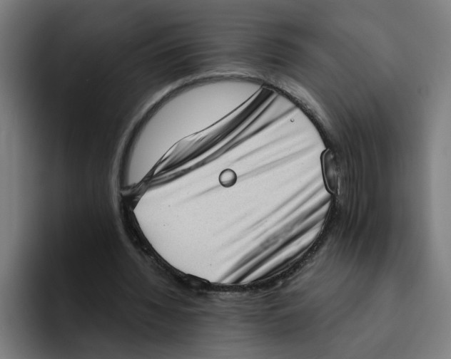 X0000094210436200711161832
