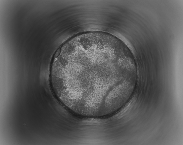 X0000094210437200711161832