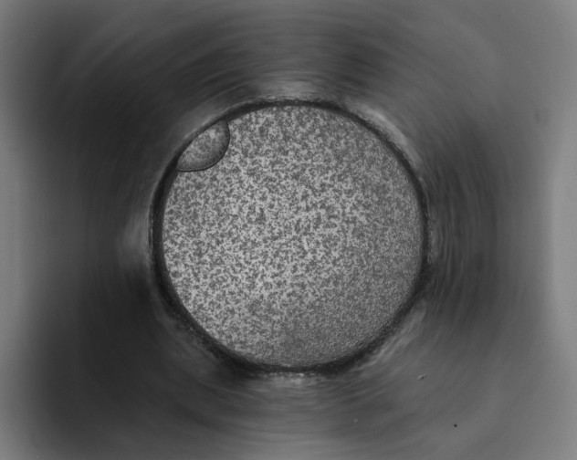 X0000094210439200711161832