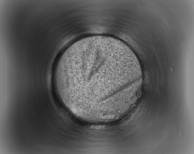 X0000094210440200711161832