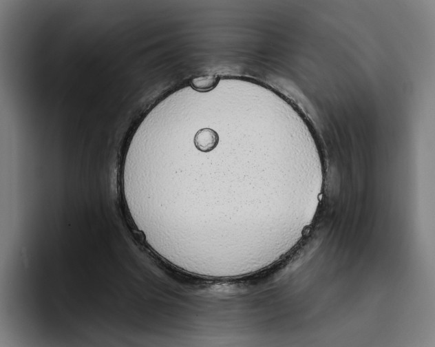 X0000094210441200711161832