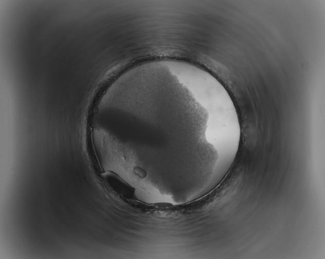 X0000094210442200711161832
