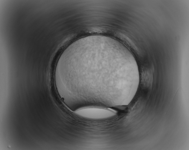 X0000094210444200711161832