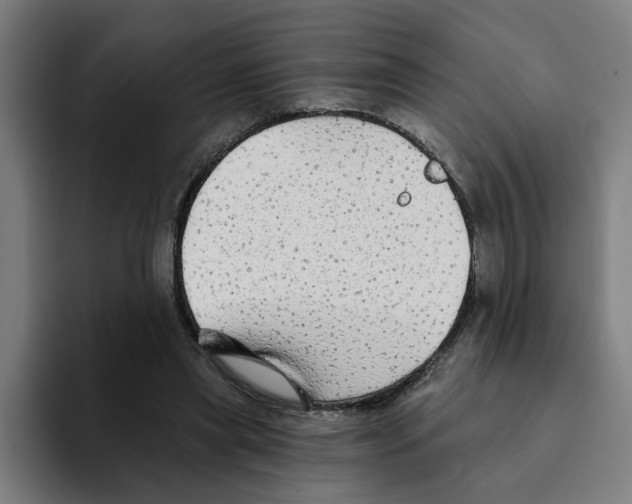 X0000094210445200711161832