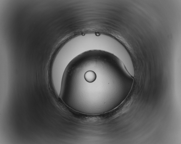 X0000094210446200711161832