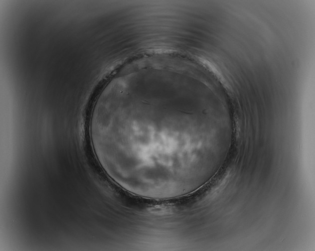 X0000094210447200711161832