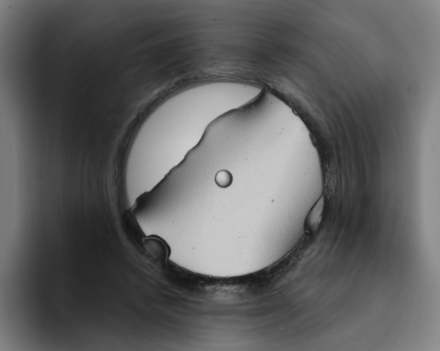 X0000094210448200711161832