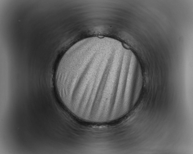 X0000094210450200711161832