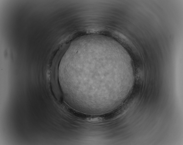 X0000094210452200711161832