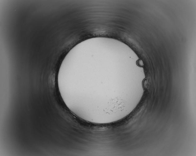 X0000094210454200711161832