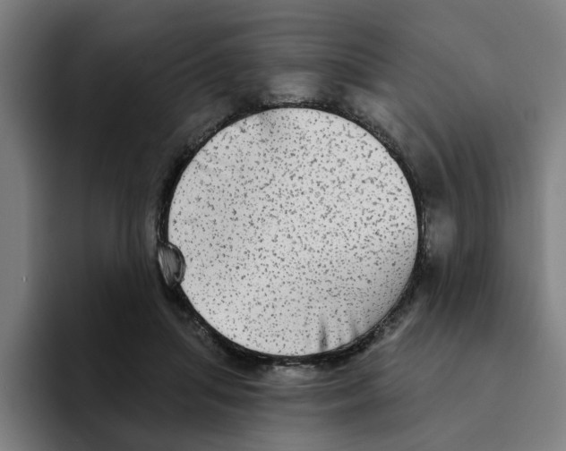 X0000094210455200711161832