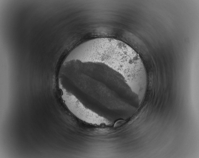 X0000094210457200711161832