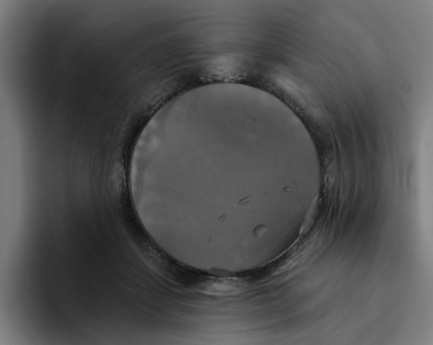 X0000094210459200711161832