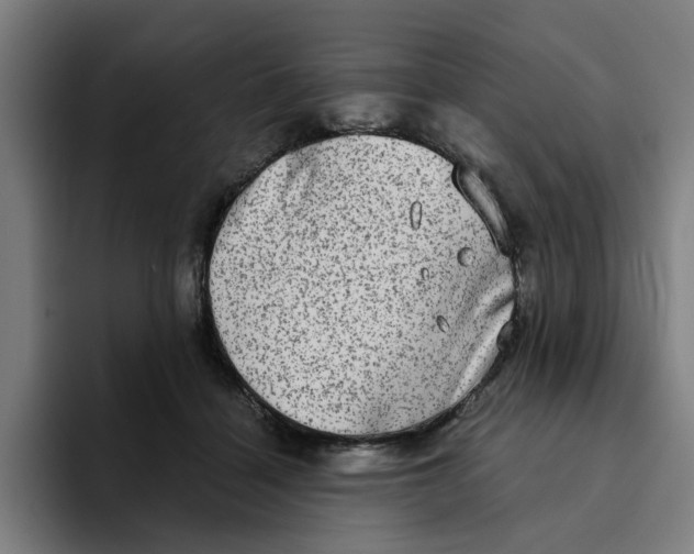 X0000094210460200711161832