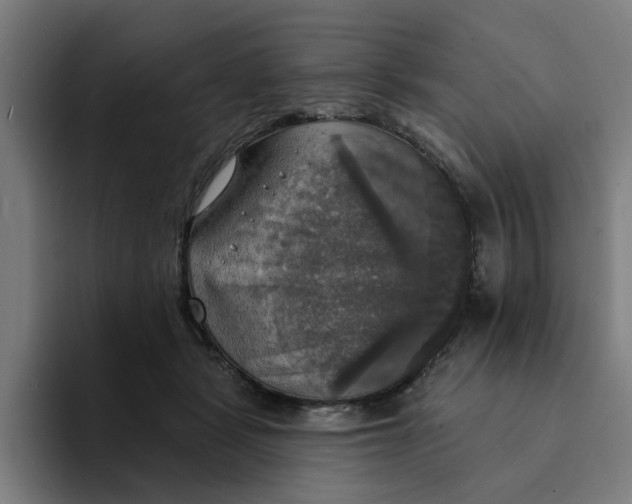 X0000094210461200711161832