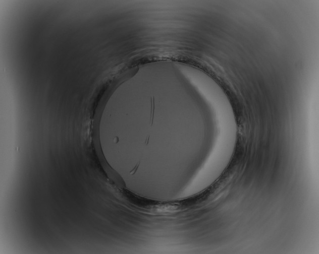 X0000094210462200711161832