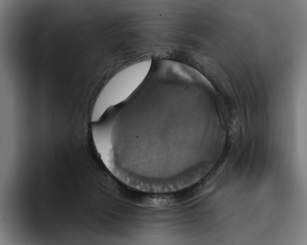 X0000094210466200711161832