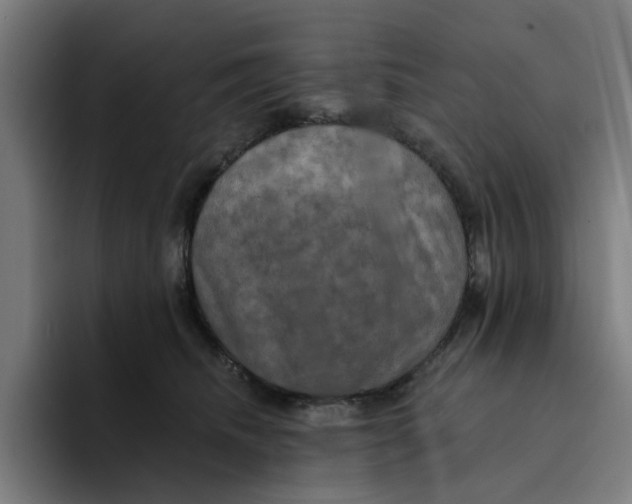 X0000094210468200711161832
