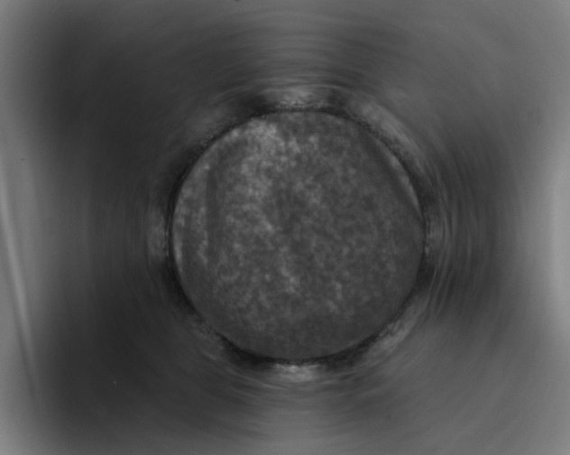 X0000094210469200711161832