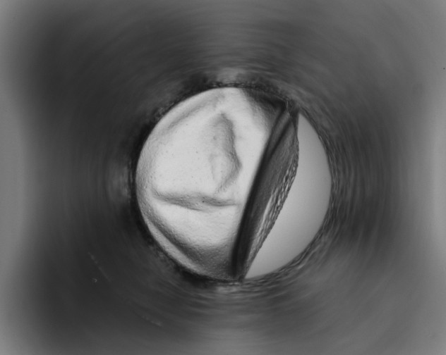 X0000094210470200711161832