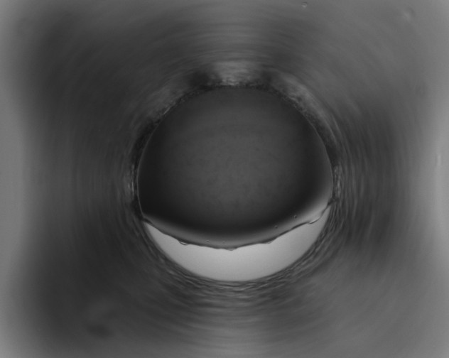 X0000094210471200711161832