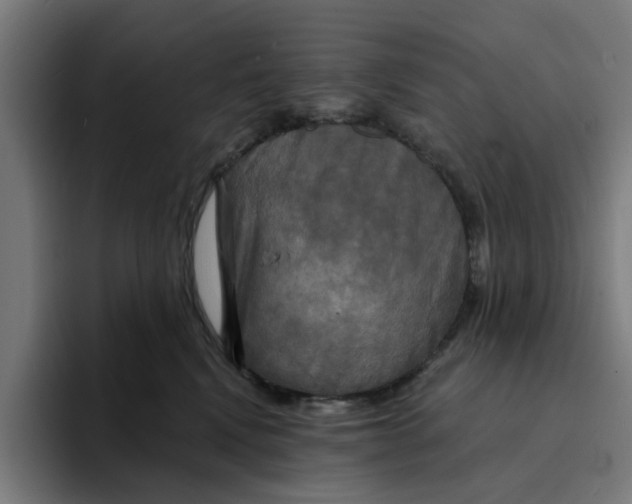 X0000094210472200711161832