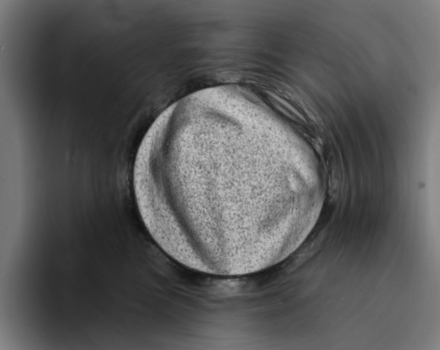 X0000094210473200711161832
