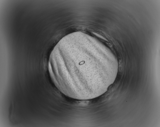 X0000094210474200711161832