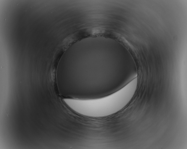 X0000094210475200711161832