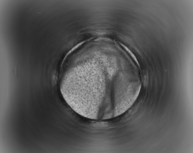 X0000094210476200711161832