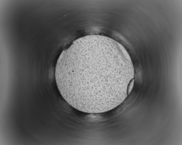 X0000094210477200711161832