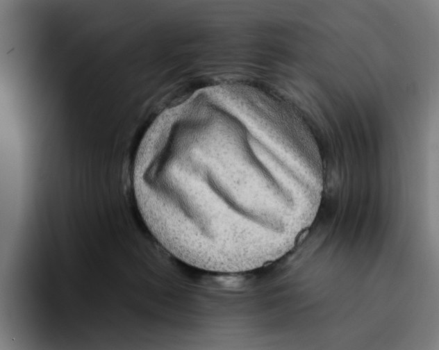 X0000094210478200711161832