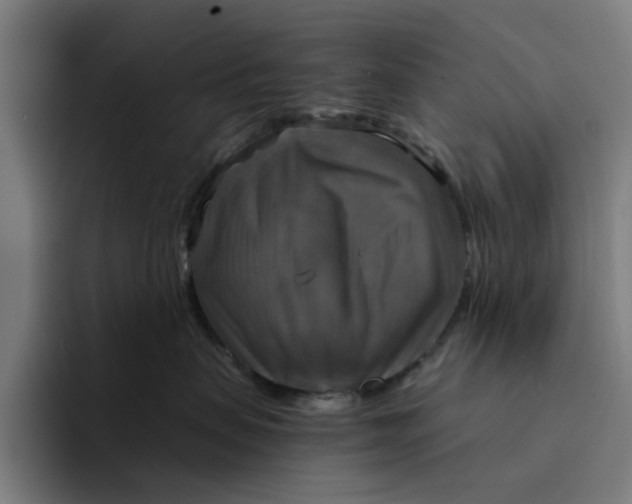 X0000094210479200711161832