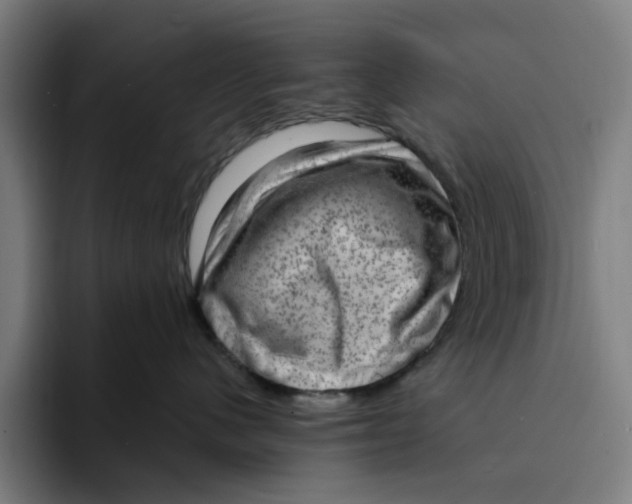 X0000094210480200711161832