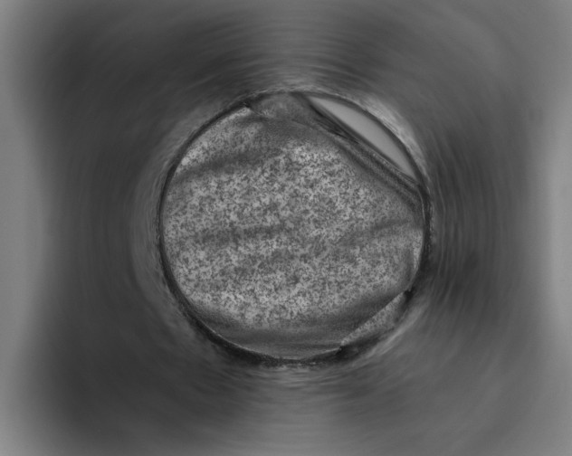 X0000094210481200711161832