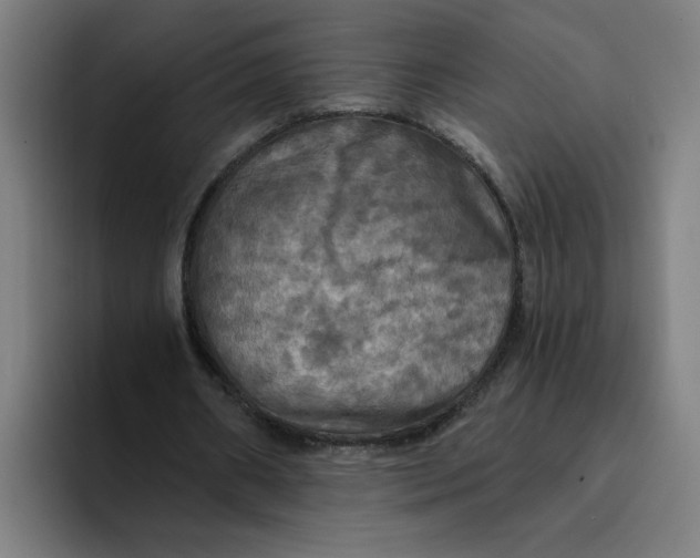 X0000094210482200711161832
