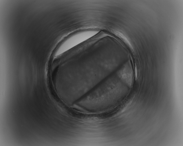 X0000094210483200711161832