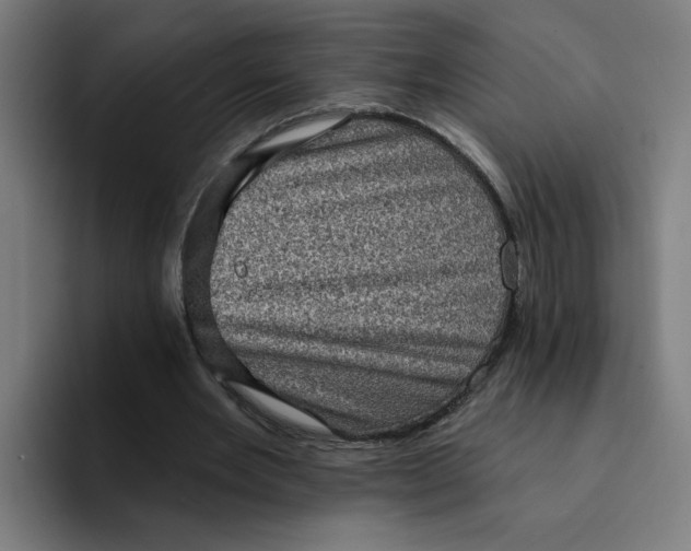 X0000094210485200711161832