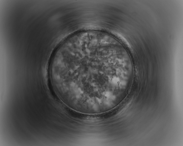 X0000094210487200711161832