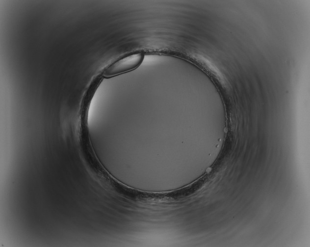 X0000094210488200711161832