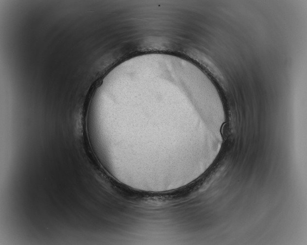 X0000094210489200711161832