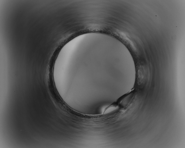 X0000094210492200711161832