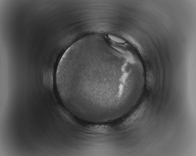 X0000094210493200711161832