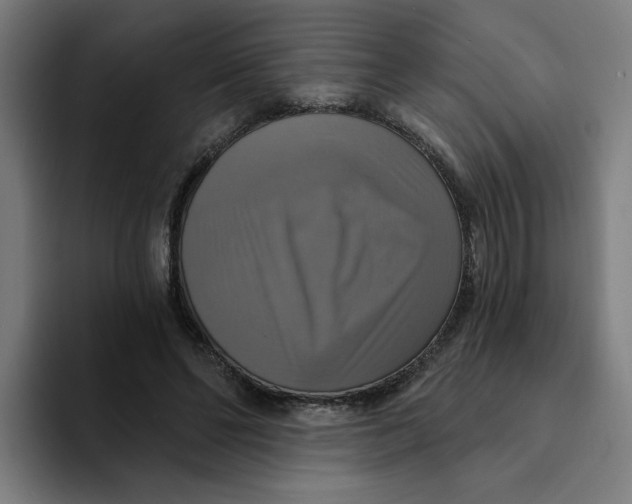 X0000094210494200711161831