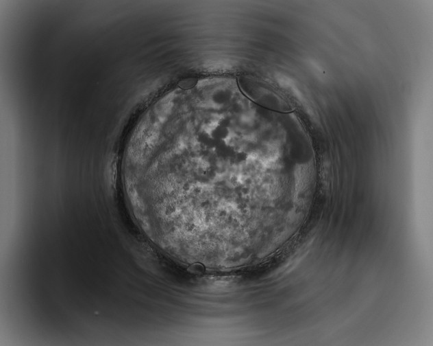 X0000094210495200711161831