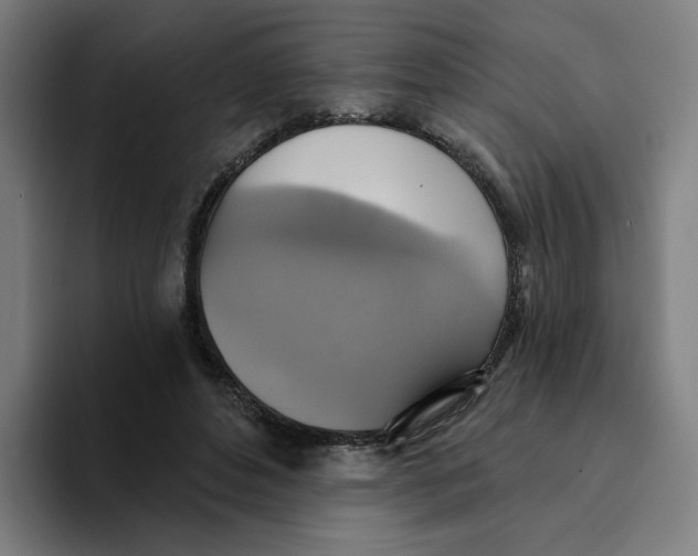 X0000094210496200711161831