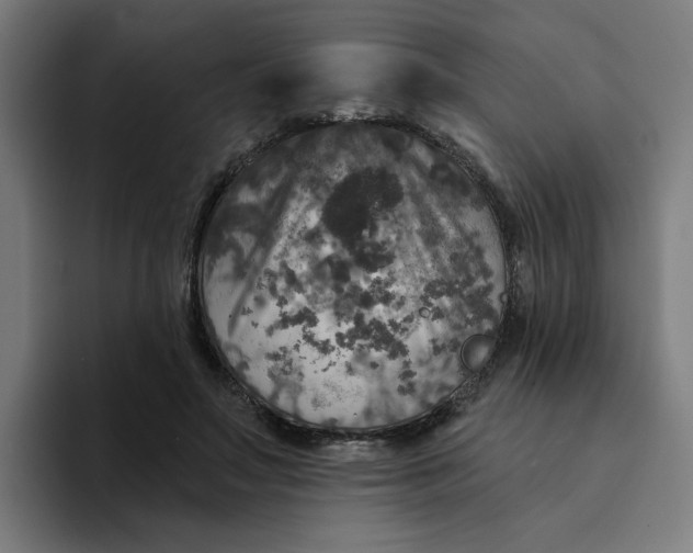 X0000094210499200711161831